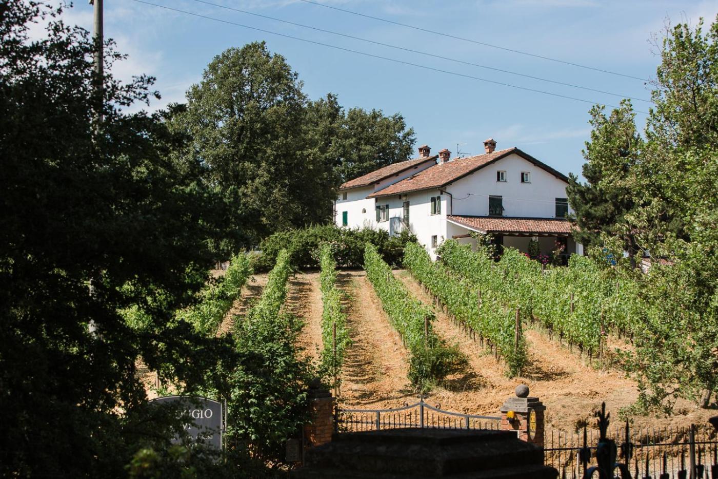 B&B Il Poggio Di Gavi Exterior foto
